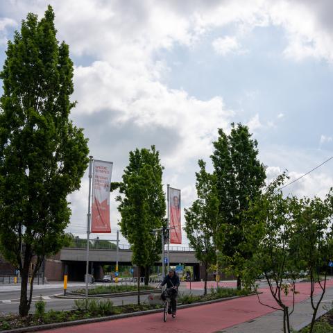 Hoogstratenplein