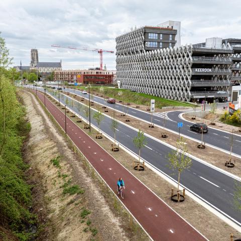 N16
