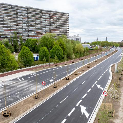 N16