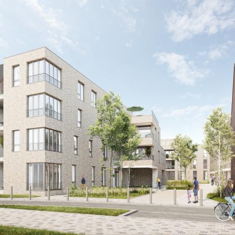 Toekomstbeeld van de leefstraat die er onder het stadsvernieuwingsproject 'Maarten' zal komen.