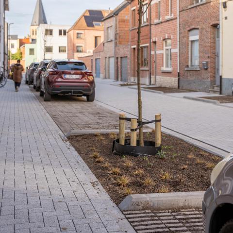 Dahliastraat: vernieuwd in 2025