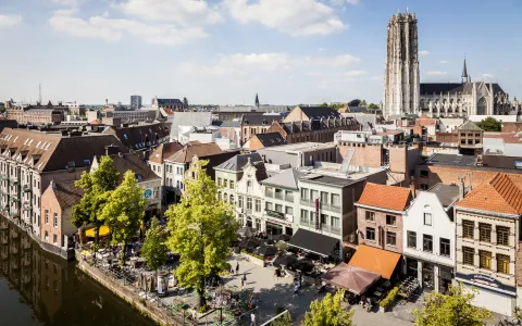 Beeld op Mechelen en de Vismarkt